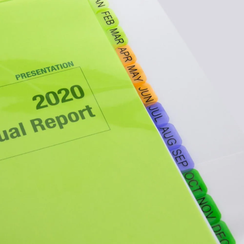 24 Tab Plastic Dividers 12 Preprinted Months Multicolor 11 Rings Binder Index