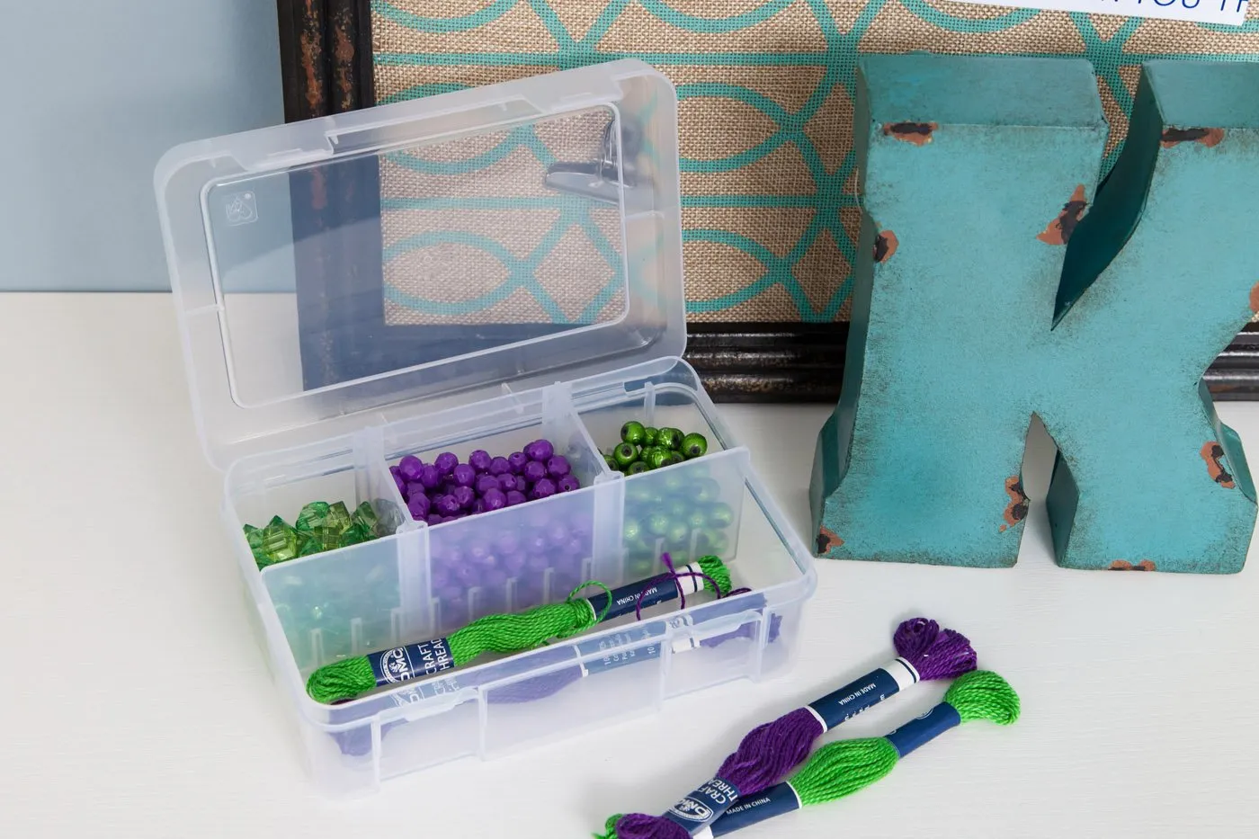 Mini Divided Case