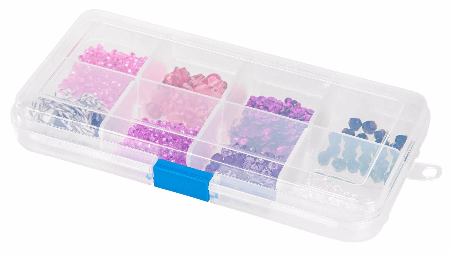 Small Divided Storage Case